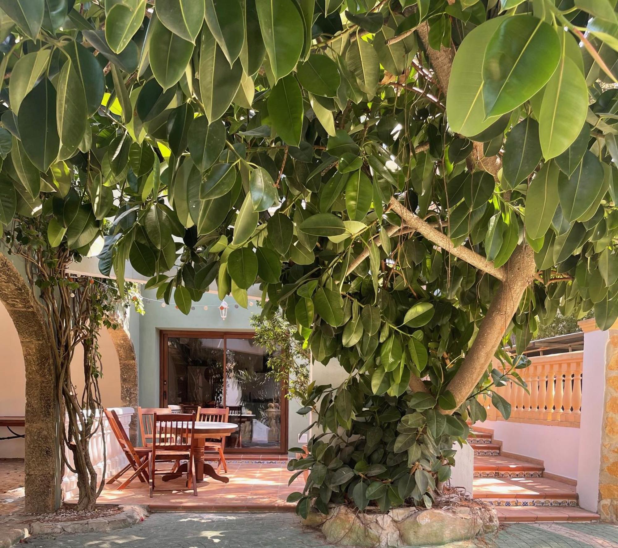 La Posada Paradiso Γιαβέα Εξωτερικό φωτογραφία
